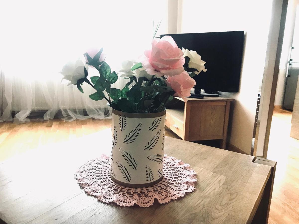 Cozy Central apartment, free parking Tallin Zewnętrze zdjęcie
